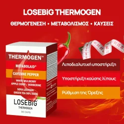 Thermogen – Bild 4
