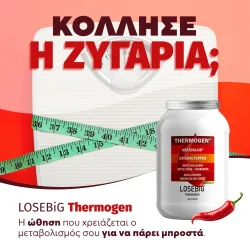 Thermogen – Bild 6